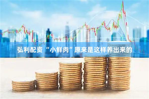 弘利配资 “小鲜肉”原来是这样养出来的