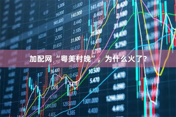 加配网 “粤美村晚”，为什么火了？